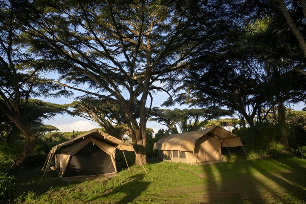 African Family Safari Resorts and Camps