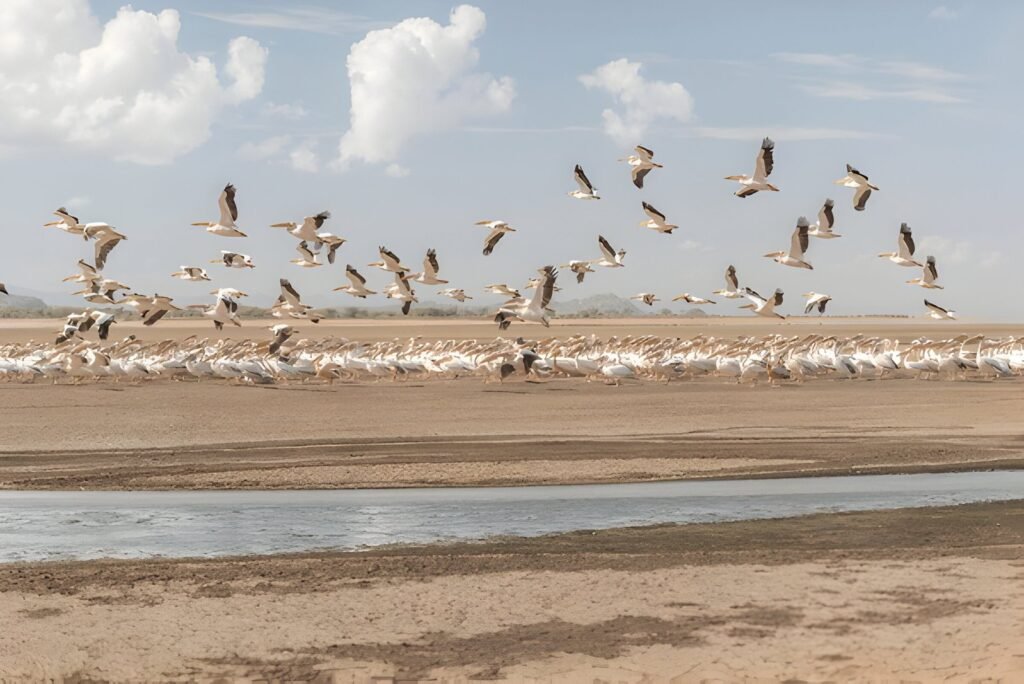 Best Things to Do in Lake Eyasi: A Unique Tanzanian Adventure