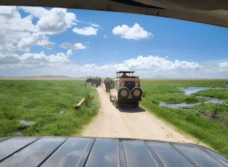 Tanzania Road Trip Itinerary: Explore the Best of Wildlife and Scenery