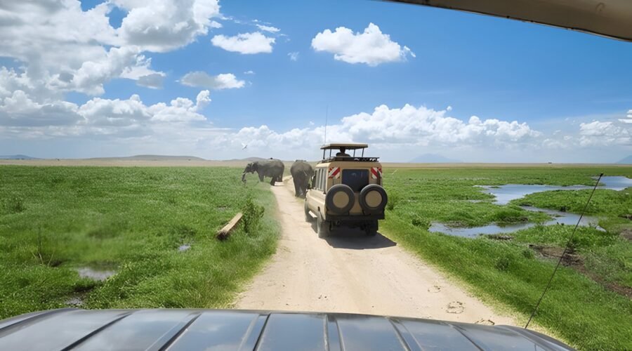 Tanzania Road Trip Itinerary: Explore the Best of Wildlife and Scenery