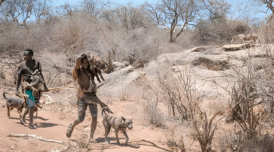 best Discover Lake Eyasi A Hidden Gem in Tanzania's