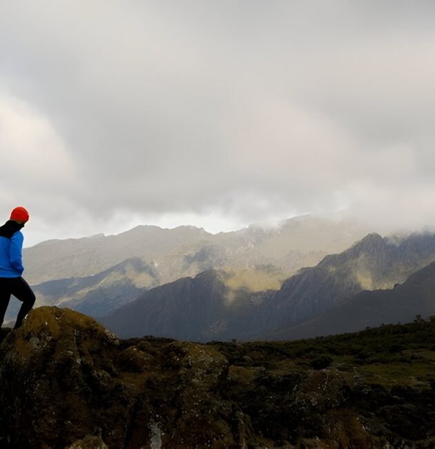7 Days Rongai Route Kilimanjaro