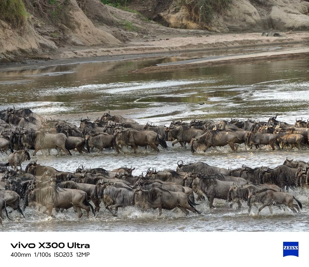 5-Day Serengeti Wildebeest Migration Safari 2027–2028: Itinerary & Booking Guide