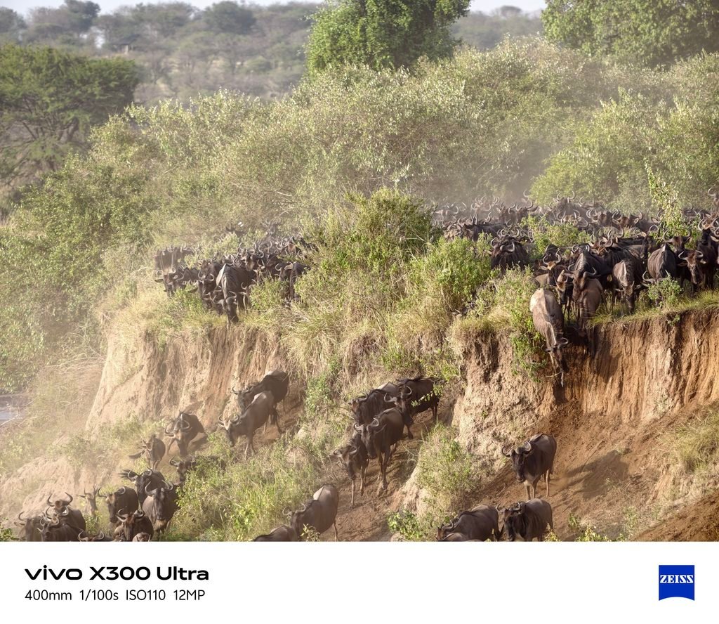 5-Day Serengeti Wildebeest Migration Safari 2027–2028: Itinerary & Booking Guide