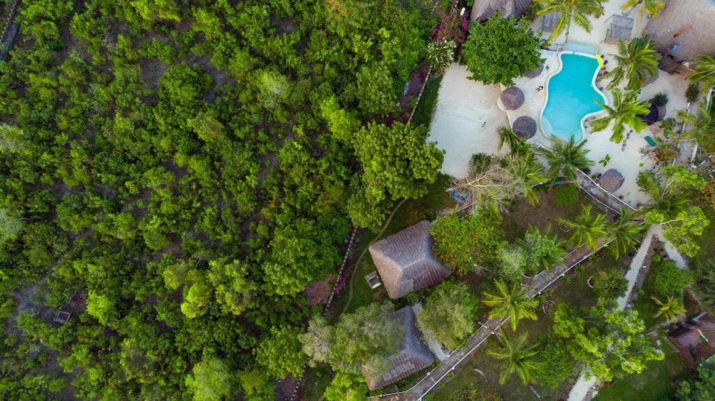 2026–2027 Guide: Top 10 Luxury Lodges in Tanzania