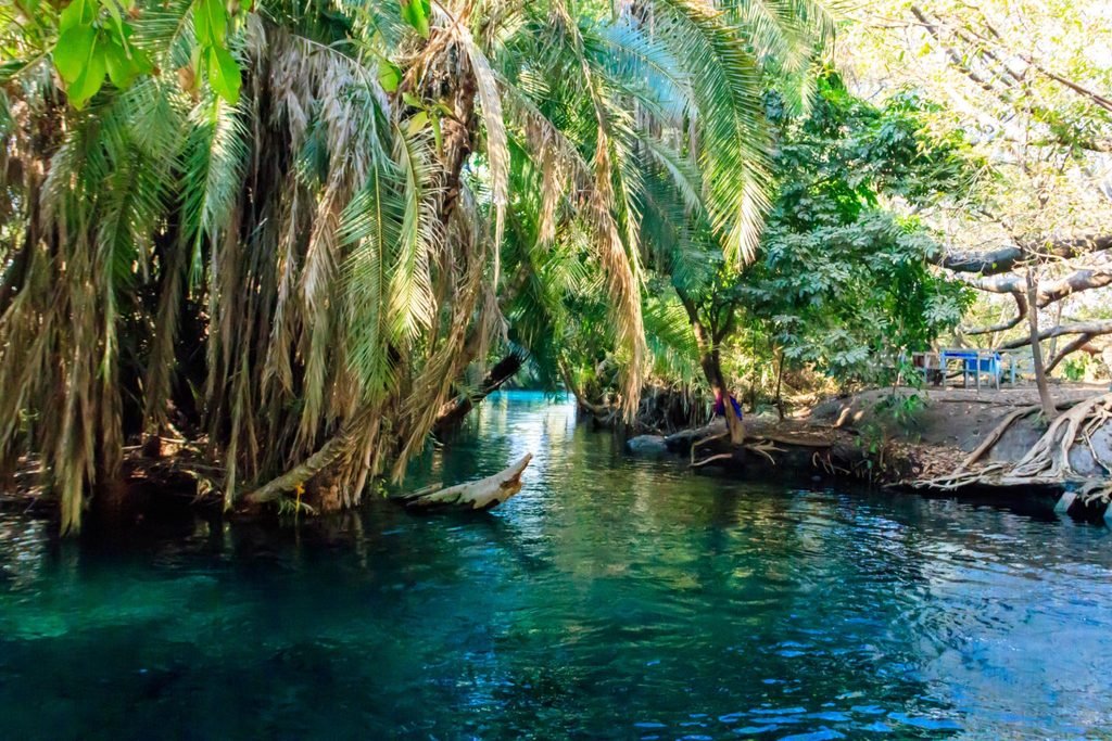 Moshi Tours in 2027–2028: Everything You Need to Know!