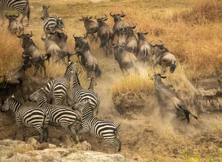 The World-Famous Serengeti National Park – Ultimate Safari Experience 2027/2028