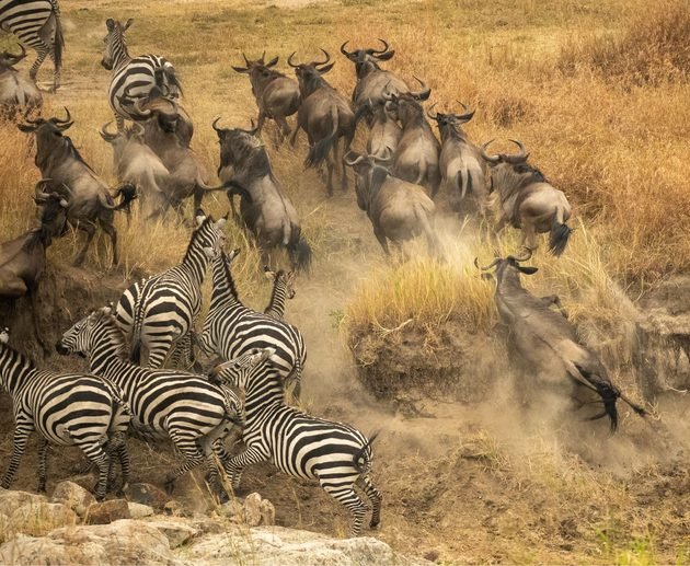 The World-Famous Serengeti National Park – Ultimate Safari Experience 2027/2028