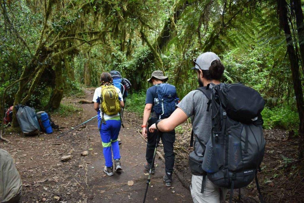 The Best 7-Day Machame Route Kilimanjaro Climb 2027–2028: Complete Itinerary