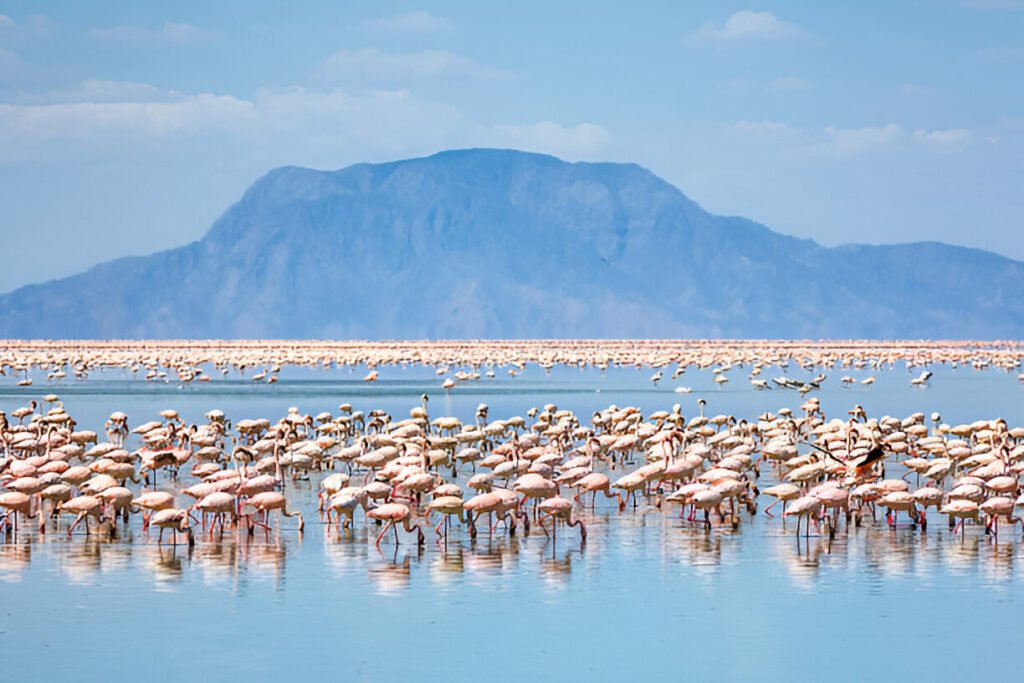 Lake Natron – A Must-Visit Destination in Tanzania (2025-2026)