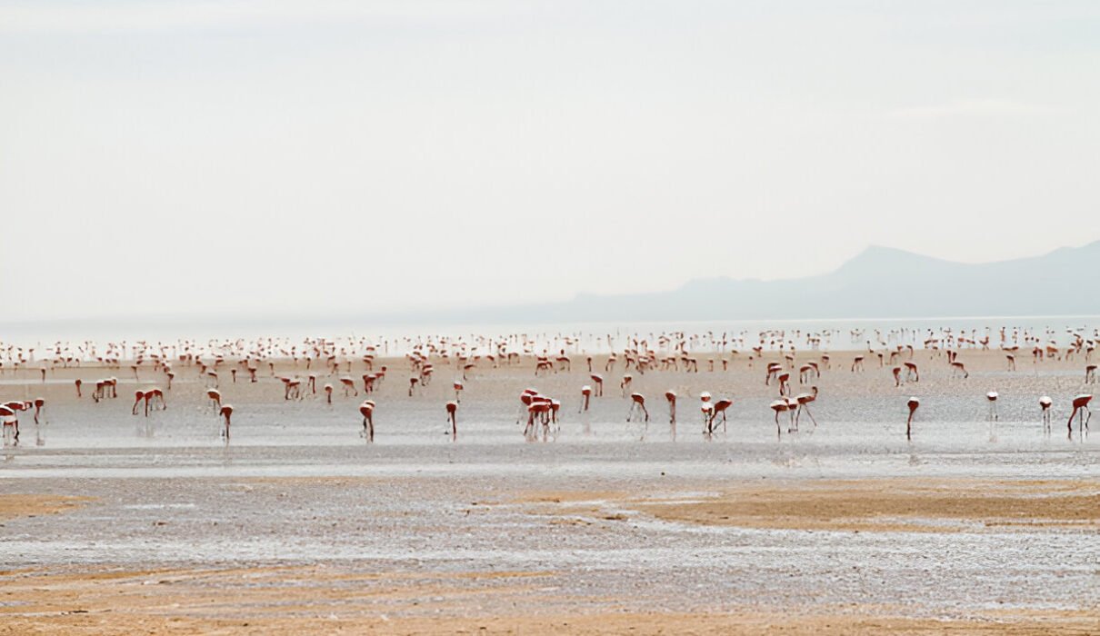 Lake Natron – A Must-Visit Destination in Tanzania (2025-2026)