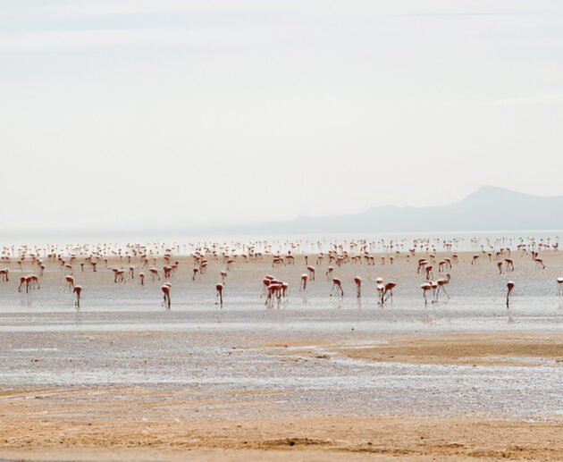 Lake Natron – A Must-Visit Destination in Tanzania (2026-2027)