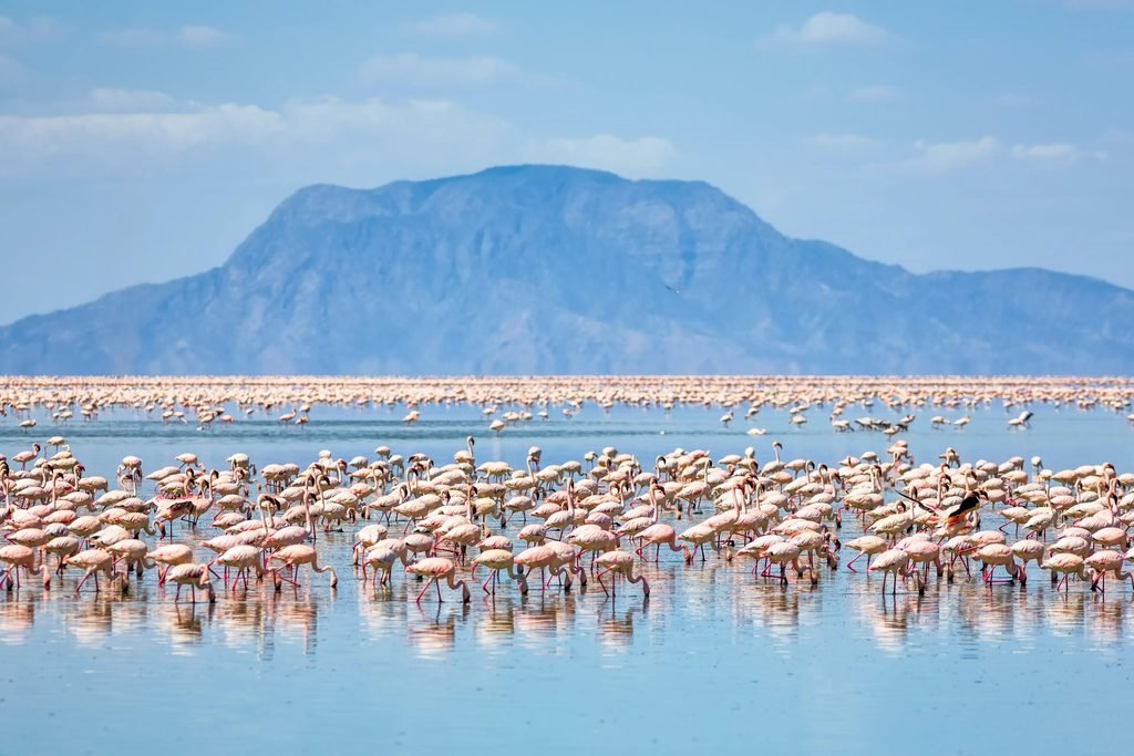 The Ultimate Lake Natron Travel Guide: A Must-Visit Destination in Tanzania (2027–2028)