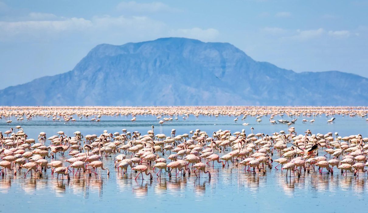 The Ultimate Lake Natron Travel Guide: A Must-Visit Destination in Tanzania (2027–2028)
