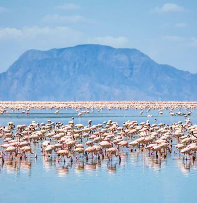 The Ultimate Lake Natron Travel Guide: A Must-Visit Destination in Tanzania (2027–2028)