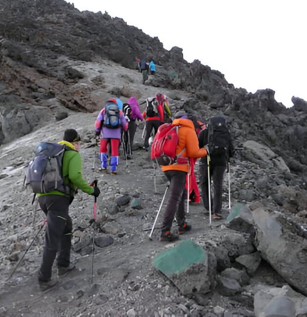 7-days Kilimanjaro Climb 2026-2027 7-Days on the Lemosho