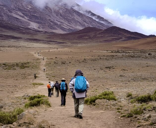 Why Do Prices Differ Between Kilimanjaro Tour Operators? Full Breakdown