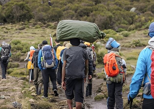 6-Day Machame Route Kilimanjaro Trek 2025/2026 Group Tour