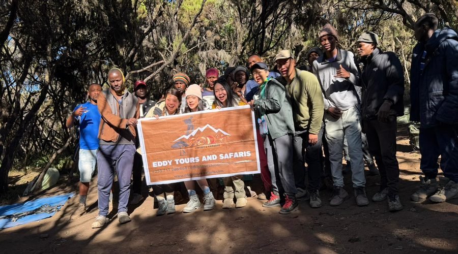 The Best 7-Day Machame Route Kilimanjaro Trek for 2027 and 2028