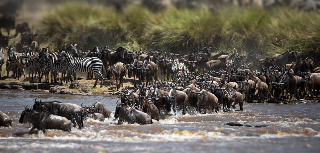 Ultimate 5-Day Serengeti Migration Safari 2027/2028