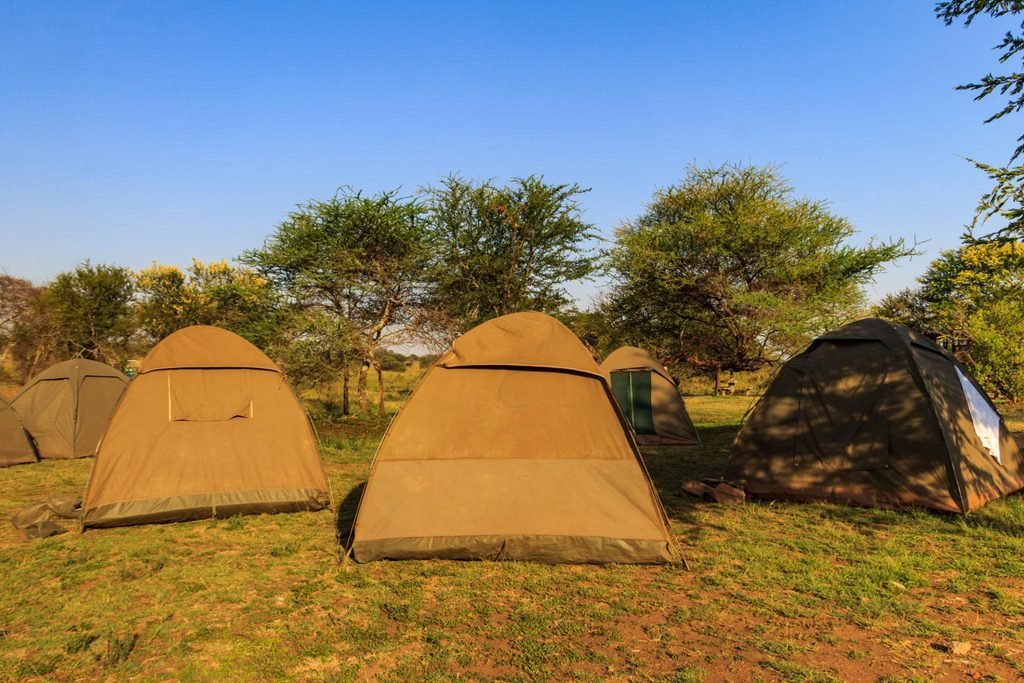 Discover Everything About Tanzania Camping Safaris in 2027 and 2028: The Complete Travel Guide