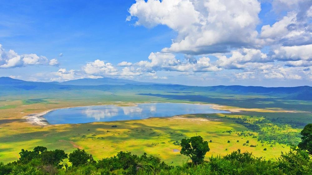 Serengeti vs Ngorongoro: Which Safari Is Better for 2027? Complete Tanzania Safari Comparison
