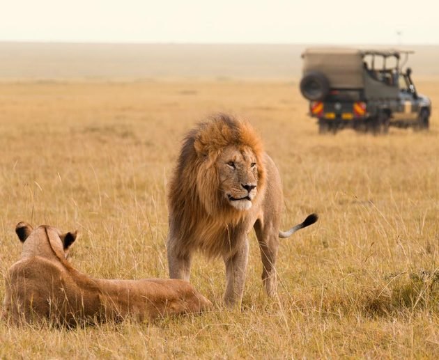 Best Masai Mara Safari, Kenya 2027–2028: Your Ultimate Safari Experience
