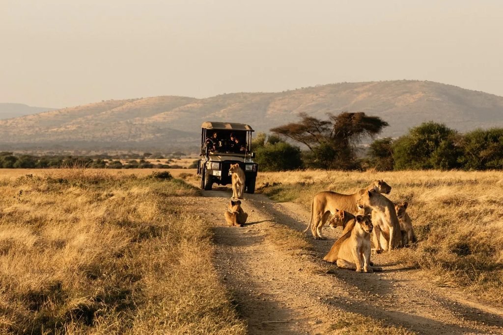 How to Plan a Multi-Destination Safari in Africa for 2027 & 2028