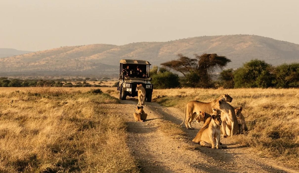 How to Plan a Multi-Destination Safari in Africa for 2027 & 2028