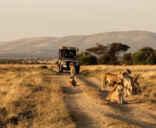 How to Plan a Multi-Destination Safari in Africa for 2027 & 2028