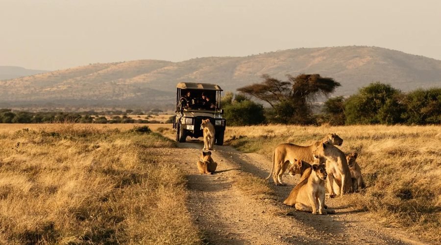 How to Plan a Multi-Destination Safari in Africa for 2027 & 2028