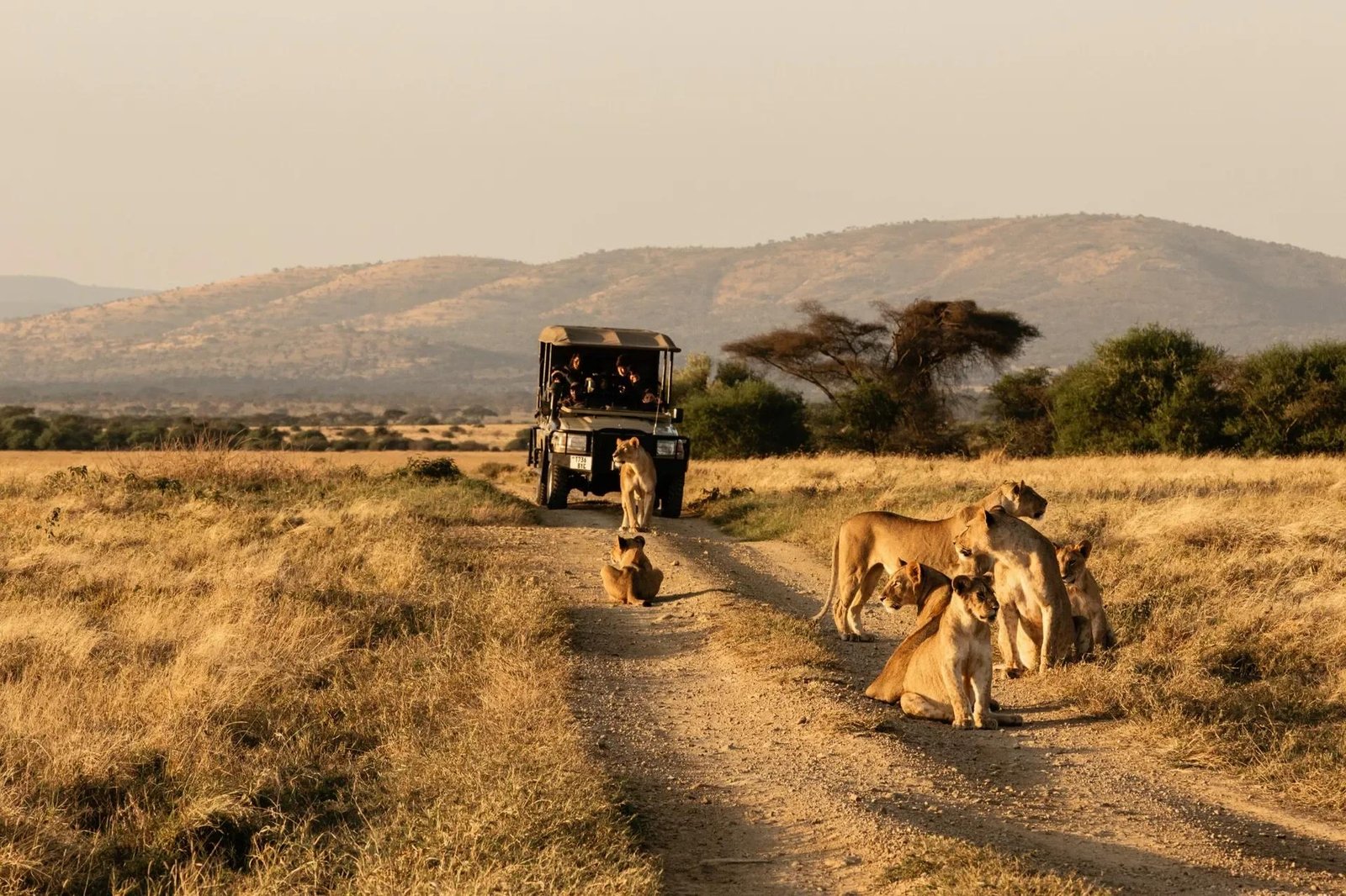 How to Plan a Multi-Destination Safari in Africa for 2027 & 2028