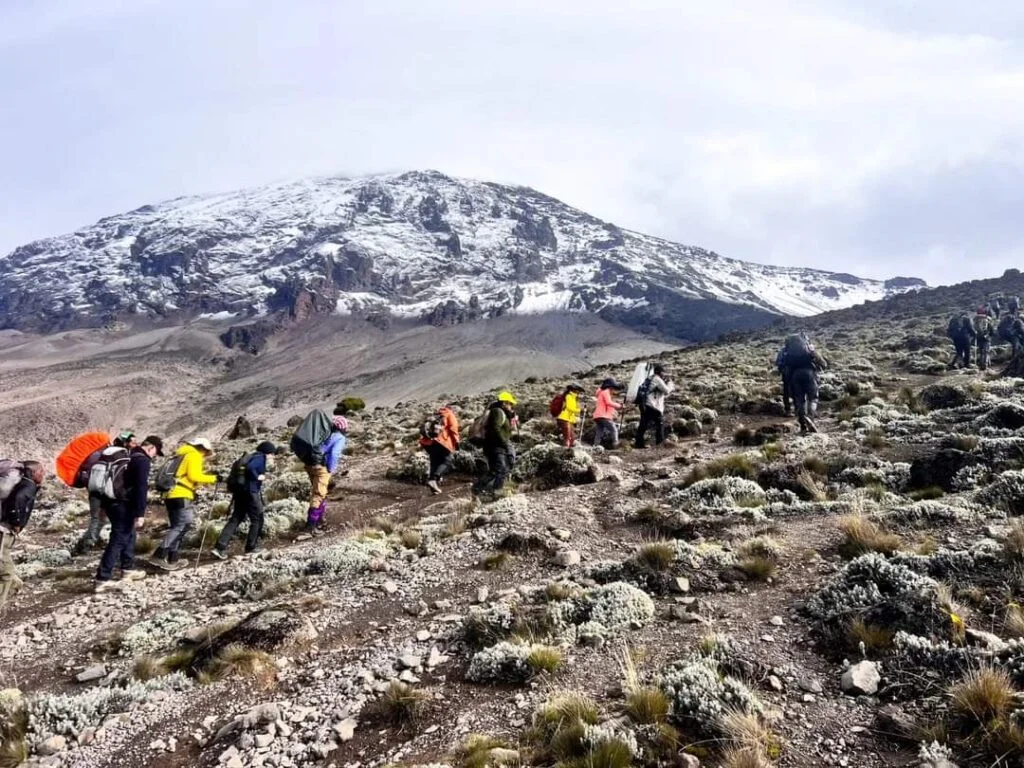 5-Day Kilimanjaro Climb Umbwe Route