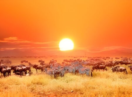 Top 7 to 10 Day Kenya Itineraries