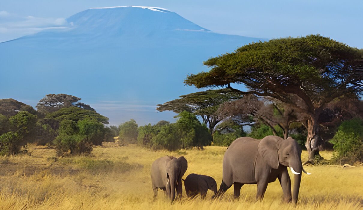 15-Things to Do in Kenya