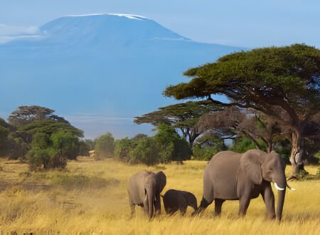 15-Things to Do in Kenya