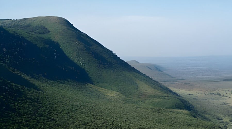 Kenya Maasai Mara and Amboseli Safaris