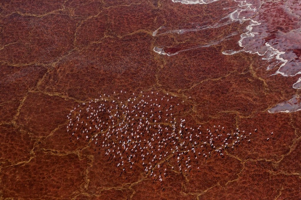 The Ultimate Lake Natron Travel Guide: A Must-Visit Destination in Tanzania (2027–2028)