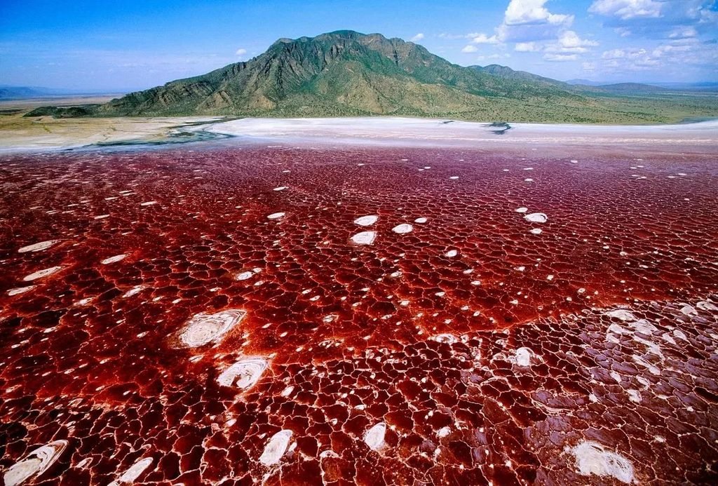 The Ultimate Lake Natron Travel Guide: A Must-Visit Destination in Tanzania (2027–2028)