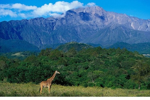 Best Things to Do in Mount Meru