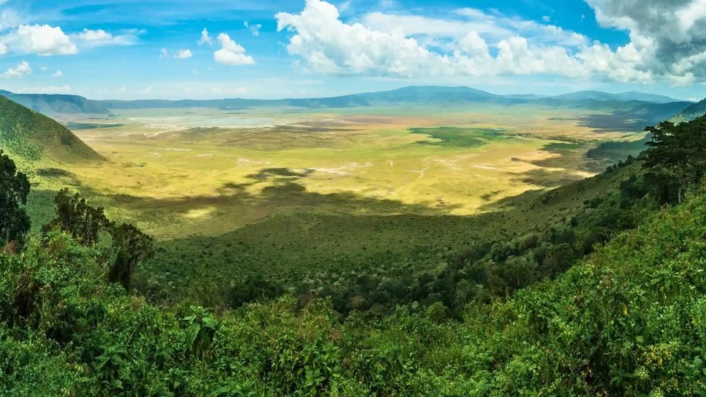 Top National Parks in Africa for 2027 and 2028 Safaris: Best Wildlife Destinations and Travel Tips