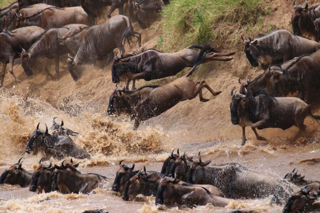 The Ultimate Lake Natron Travel Guide: A Must-Visit Destination in Tanzania (2027–2028)