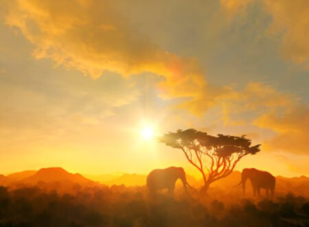 Guide to Taking Babies and Toddlers on an African Safari 2025/2026