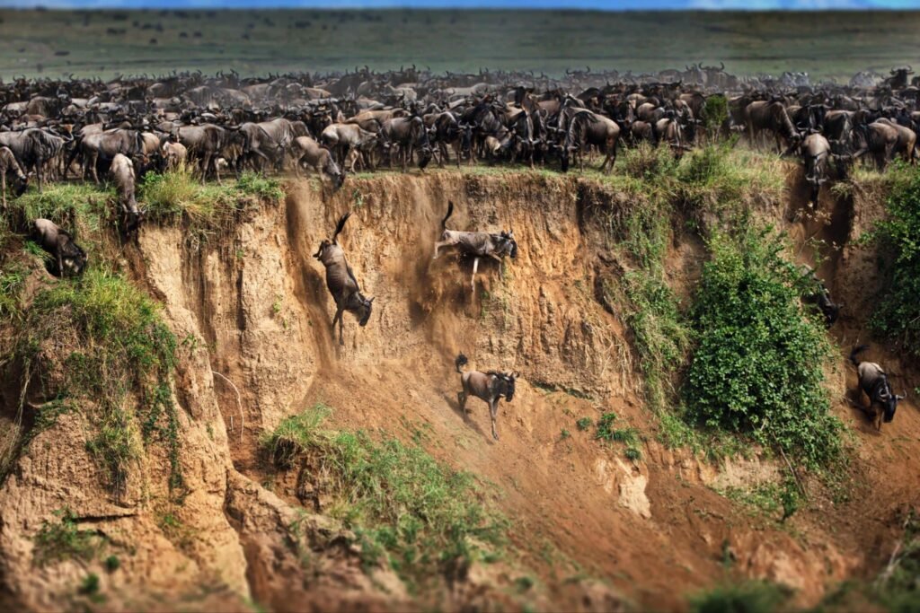 The top 10 Interesting Facts About the Serengeti 2025/2026