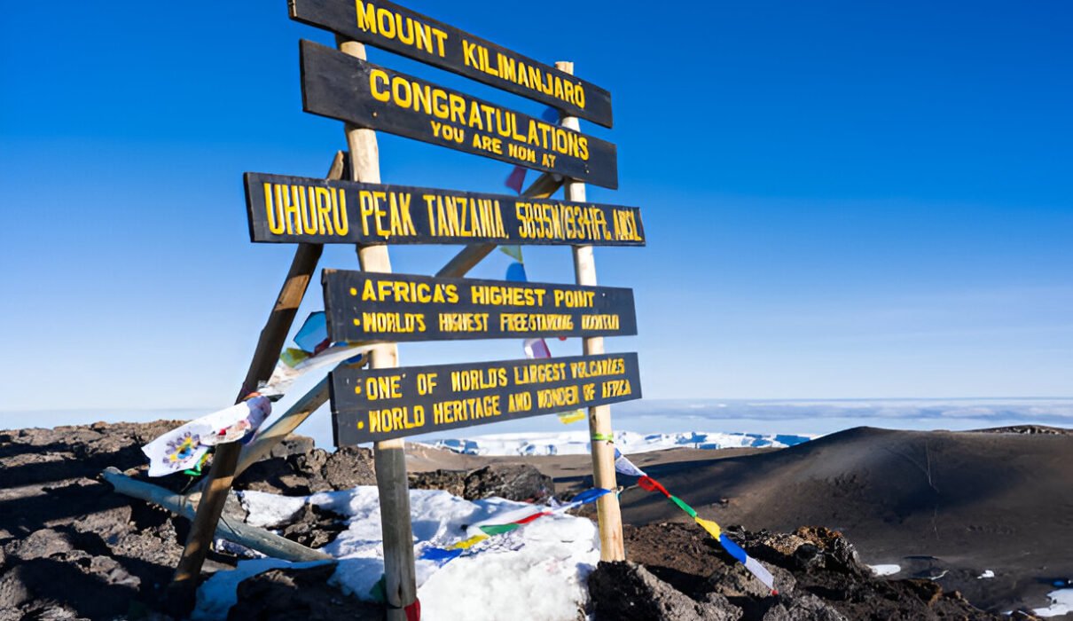 7-days Kilimanjaro Lemosho Success