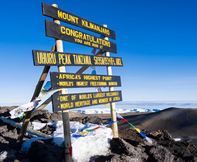 7-days Kilimanjaro Lemosho Success