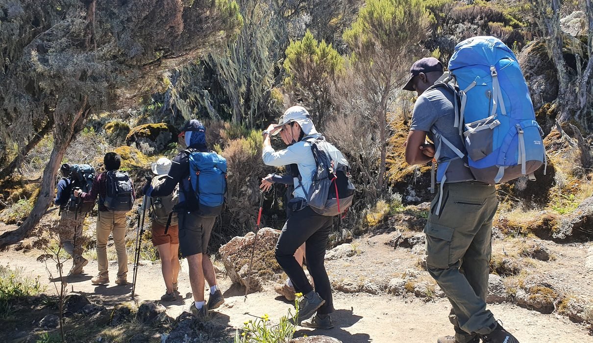 5-Day Marangu Route Kilimanjaro Trek 2027–2028: Guided Hut Climb