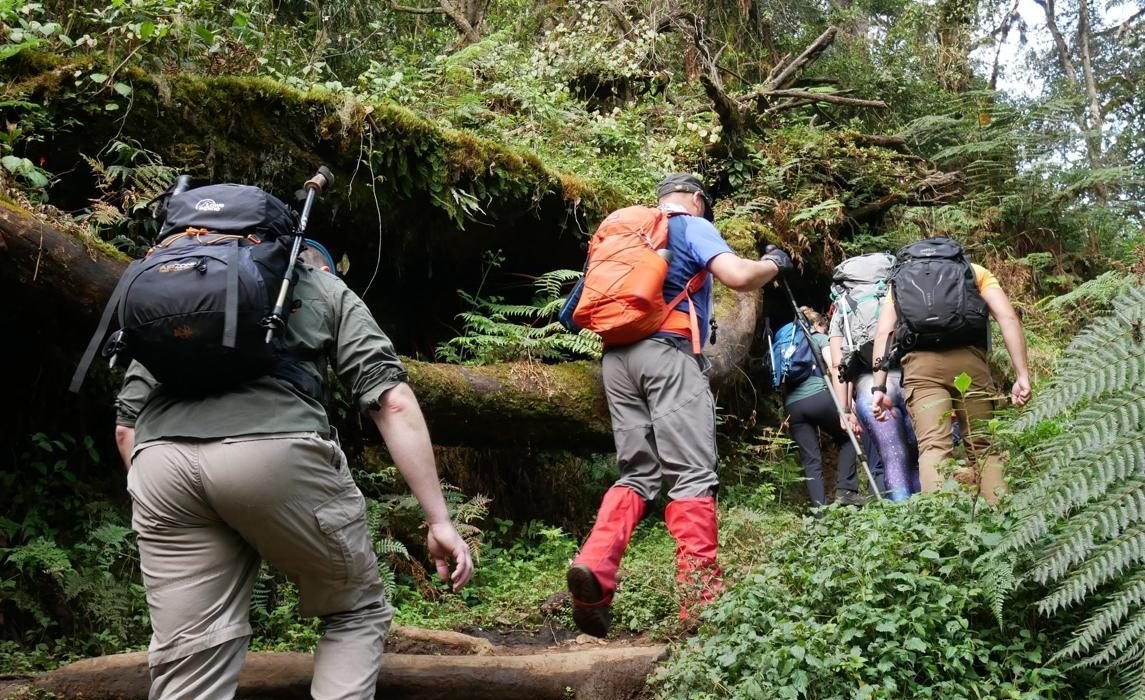 The Epic 5-Day Kilimanjaro Quest: Best Umbwe Route 2027/2028
