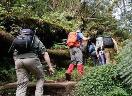 The Epic 5-Day Kilimanjaro Quest: Best Umbwe Route 2027/2028