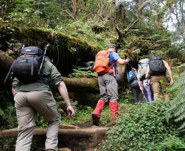 The Epic 5-Day Kilimanjaro Quest: Best Umbwe Route 2027/2028